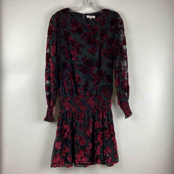 Parker Carmindy Floral Velvet Burnout Dress Black Red Womens Size Small - Picture 3 of 11